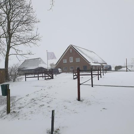 דירות Anevelde Landelijk Gelegen Boerderij Aan De Pothofweg מראה חיצוני תמונה